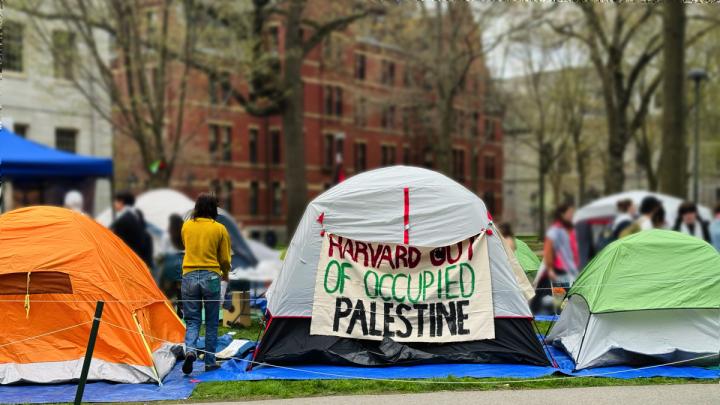 encampments in Harvard Yard